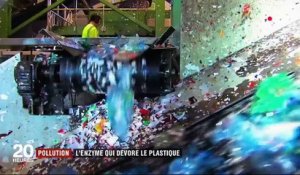 Pollution : une enzyme qui dévore le plastique a été découverte