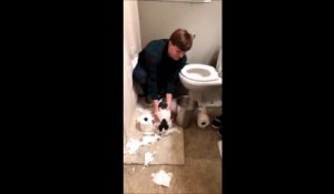 La vidéo amusante d'un homme qui force son chat à ranger son bazar