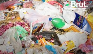 Pollution plastique : Greenpeace appelle les entreprises à réagir