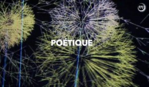 « Les Pissenlits », fleurs numériques et poétiques