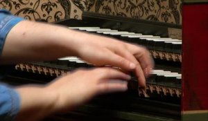 Bach | Fantaisie chromatique et Fugue en ré mineur BWV 903  par Lillian Gordis