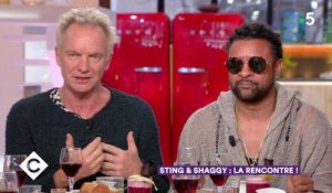 Sting & Shaggy au dîner ! - C à Vous - 24/04/2018