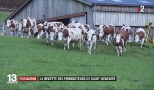 Saint-Nectaire : les producteurs embauchent