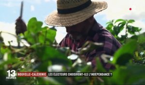 Nouvelle-Calédonie : les électeurs choisiront-ils l'indépendance ?