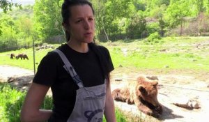 Grèce: un refuge pour ours et loups traumatisés