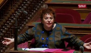 la Ministre Nathalie Loiseau qui provoque colère et polémique en évoquant "les migrants qui vont du shopping de l'asile"