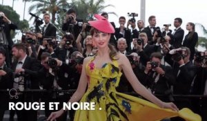 PHOTOS. Cannes 2018 : la robe surprenante de Frédérique Bel lors de la montée des marches