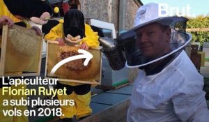 "Des apiculteurs sans abeilles sont même prêts à aller voler leurs voisins"… En France, les vols de ruches augmentent