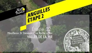 Étape 2 : Anguille - Vallée de la Sèvre nantaise