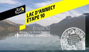 Étape 10 : Réserve Naturelle du Bout du lac d'Annecy