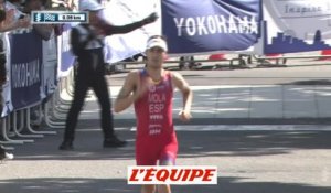 Mola s'impose en habitué - Triathlon - WTS - Yokohama