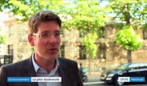 Environnement : Nicolas Hulot annonce un plan pour la biodiversité