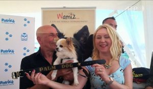 Cannes: le casting canin de "Dogman" récompensé par la Palm Dog