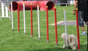 Les jardins prennent leurs quartiers tout le week-end à Saint-Dié-des-Vosges