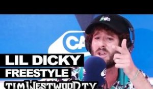 Lil Dicky freestyle - Westwood