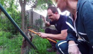 Sorties : devenir soigneur d'un jour au zoo de Fort-Mardyck - 04 Juin 2018