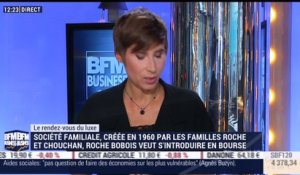 Le Rendez-vous du Luxe: Roche Bobois veut s'introduire en Bourse - 06/06