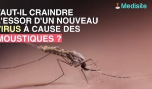 Un nouveau virus causé par les moustiques en France