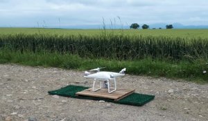 Un drone de la LPO pour protéger les busards cendrés