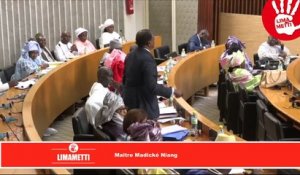 (Vidéo) - Madické Niang à Aly Ngouille Ndiaye :vous passez votre temps à dormir et à violer les lois