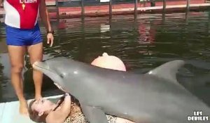Cette grand mère a l'air de beaucoup plaire au dauphin