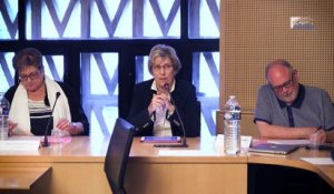 Questions à Marie-Noëlle LIENEMANN (Sénat) - études d'impacts - cese