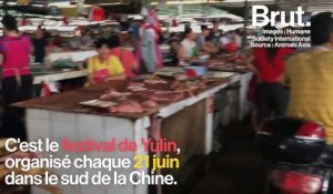 A Yulin, des milliers de chiens et de chats tués pour être mangés lors d’un festival annuel