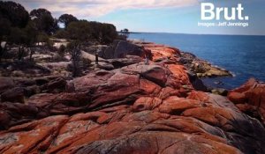 Tasmanie : les roches oranges de la "Bay of fires"
