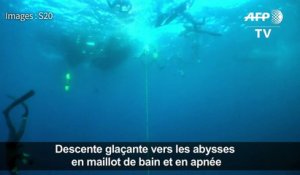 Apnée : une plongée glaciale à 105 m en maillot