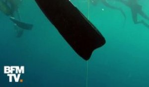 105m de profondeur en apnée: Guillaume Néry signe son retour sous l’eau