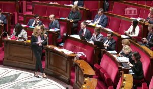 2ème séance : Programmation 2019-2022 et réforme de la justice (projet de loi) et renforcement de l'organisation des juridictions (projet de loi organique) (discussion générale commune) - Lundi 19 novembre 2018