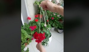 Technique pour avoir un pot de fleur suspendu