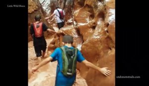 Une inondation surprend une famille dans un Canyon aux Etats-Unis !