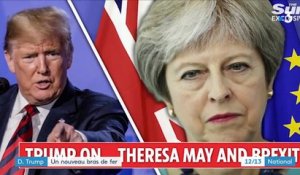 International : Donald Trump s'en prend à Theresa May