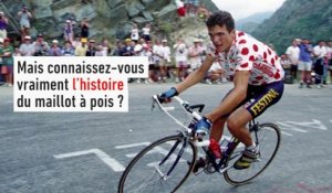 Aux origines du maillot à pois - Cyclisme - Tour de France