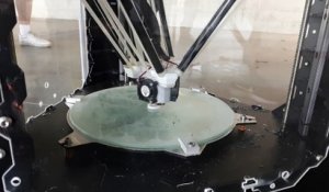 Imprimante 3D de WeP3D