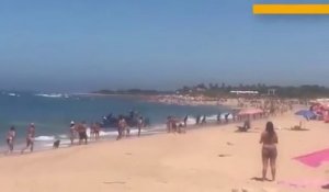 Débarquement de migrants sur une plage de touristes en Espagne !