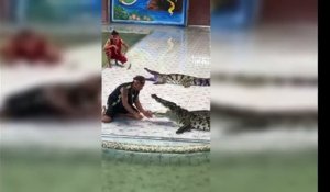 (Choc) Un dresseur de crocodile se fait mordre en plein spéctacle