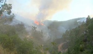Plus de 700 pompiers combattent les feux au Portugal