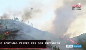 Canicule : le Portugal ravagé par les flammes (Vidéo)