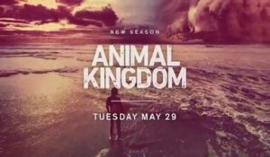 Animal Kingdom - Promo 3x12