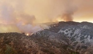 Californie : des milliers d'habitations menacées par les flammes