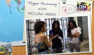 D24TV: "Reggae Reasoning" con MELLOW MOOD