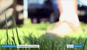 Procès Monsanto : la France hausse le ton