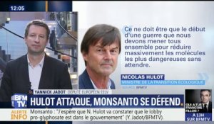 Jadot (EELV) sur les propos de Hulot: "J'espère qu'il va constater que le lobby pro-glyphosate est au gouvernement à travers le ministre de l'agriculture"