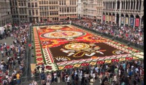 Le tapis de fleurs mexicain visible jusqu'à dimanche sur la Grand-Place de Bruxelles