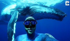 Ce plongeur prend le selfie de sa vie devant une baleine énorme