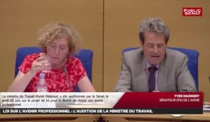 Avenir professionnel : Audition de Muriel Pénicaud + Séance Avenir professionnel - Les matins du Sénat (08/08/2018)