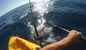 Ce kayakiste se fait poursuivre par un requin agressif