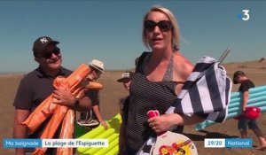 Ma baignade : la plage de l'Espiguette